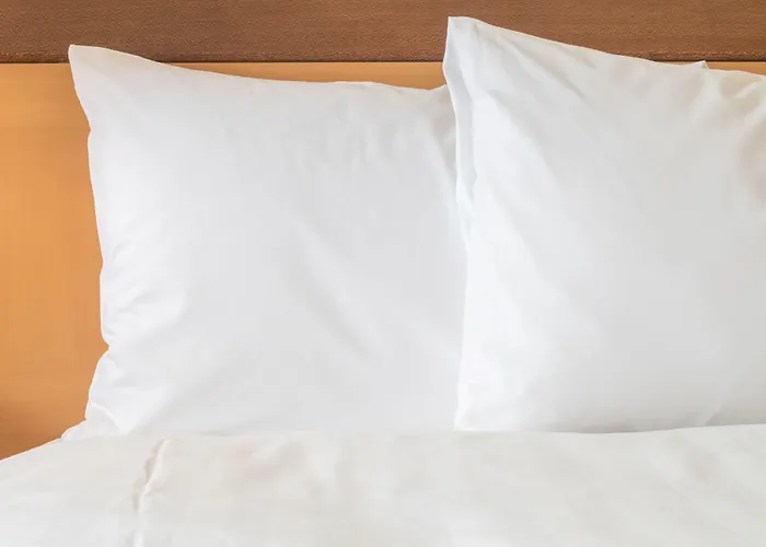 Express & Chicago South By Ihg Lansing